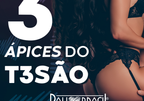 3 ÁPICES DO TESÃO! 