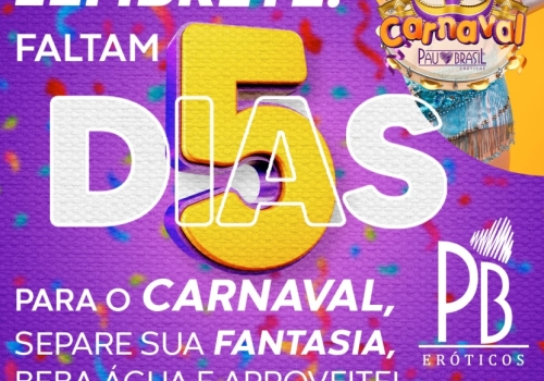 LEMBRETE: FALTAM 5 DIAS PARA O CARNAVAL, SEPARE SUA FANTASIA, BEBA ÁGUA E APROVEITE! 